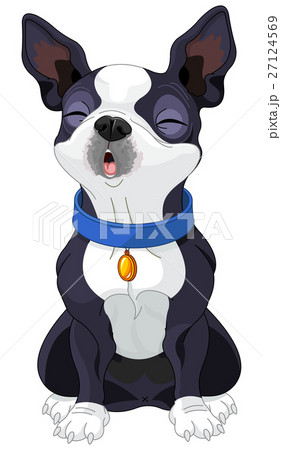 Howling Boston Terrier Howling Boston Terrier 27124569