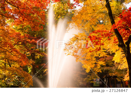 加茂山公園の噴水 加茂山公園の噴水 27126847