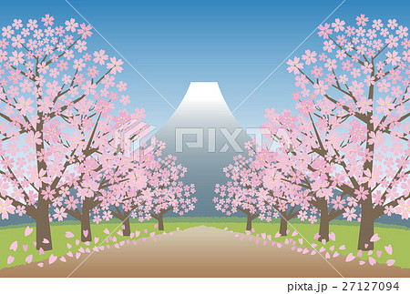 桜 富士山 道のイラスト素材