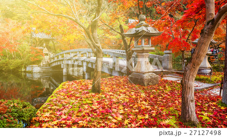 autumn foliage at sunset in Eikando, Kyoto 27127498