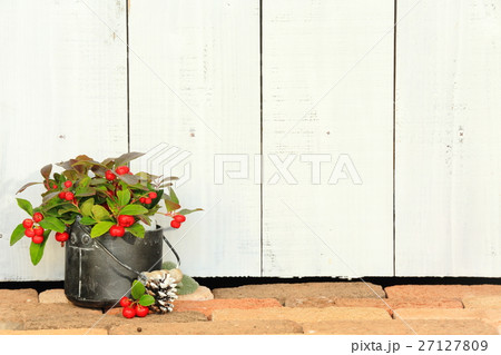 赤い実と板壁 27127809