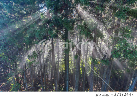 幻想的な朝日 27132447