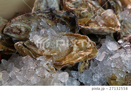 Fresh big raw oysters on ice Fresh big raw oysters on ice 27132558