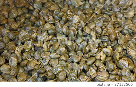 Green pickled small capers close up background Green pickled small capers close up background 27132560