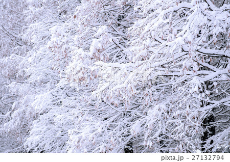 Winter landscape. Winter landscape. 27132794
