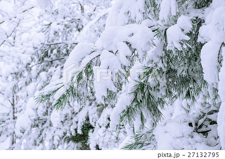Winter landscape. 27132795