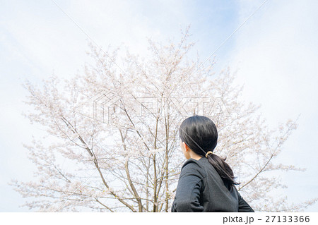 桜を見つめるビジネスウーマン 桜を見つめるビジネスウーマン 27133366