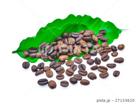 coffee grains and leaves isolated on white coffee grains and leaves isolated on white 27133620