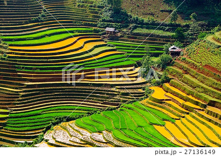 棚田 - 作品｜大地の芸術祭 立体絵画の「ベトナムの棚田」