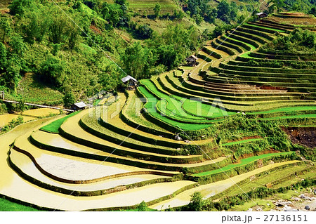 ベトナム イエンバイ省ムーカンチャイの棚田の写真素材 [27136151] - PIXTA