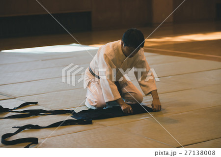 martial artist martial artist 27138008