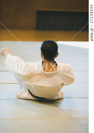 martial artist martial artist 27138344