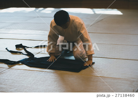 martial artist martial artist 27138460