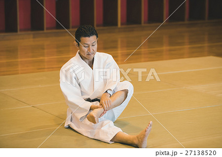 martial artist martial artist 27138520