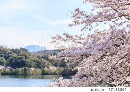 桜の花と緑水湖と大山　鳥取県4月 27138865