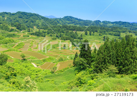 新潟_星峠の棚田 新潟_星峠の棚田 27139173
