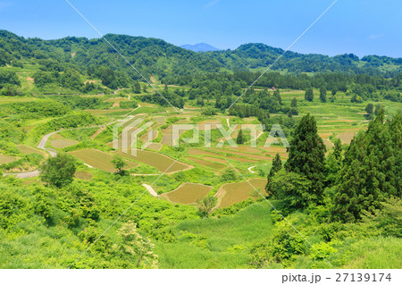新潟_星峠の棚田 27139174