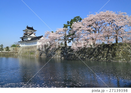 富山城と桜 富山城と桜 27139398