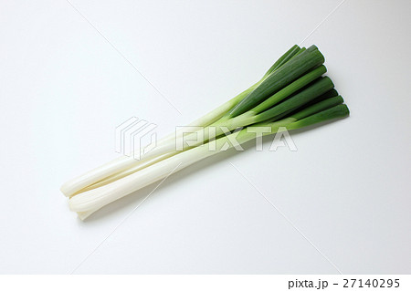 長ネギ 長ネギ 27140295