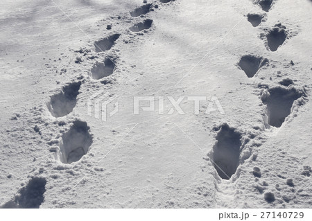 雪に足跡 27140729