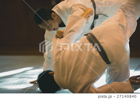 martial artist martial artist 27140840