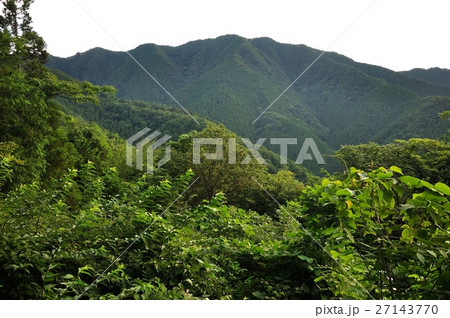 奥多摩 茅丸と連行峰 27143770