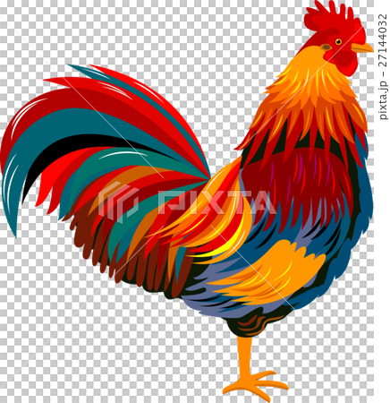 Colorful rooster                                   27144032