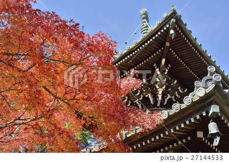 清凉寺　紅葉 27144533