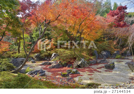 宝筐院　紅葉 27144534
