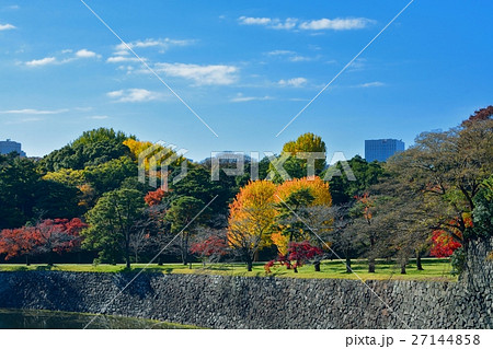 皇居北桔橋門から見た紅葉風景 27144858