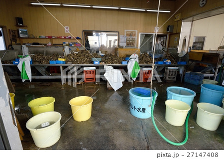 昼休みの牡蠣加工場 27147408