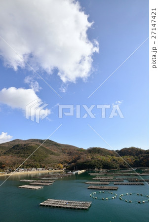 室津 入り江の牡蠣筏の風景 室津 入り江の牡蠣筏の風景 27147421