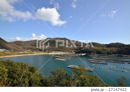 室津 入り江の牡蠣筏の風景 室津 入り江の牡蠣筏の風景 27147422