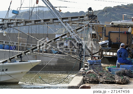 坂越　牡蠣の水揚げ作業風景 27147456