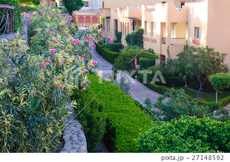 buildings with green shrubs and flowerbeds buildings with green shrubs and flowerbeds 27148592