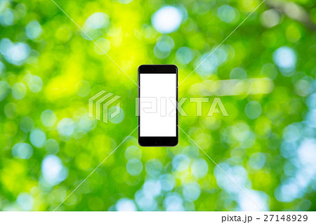 スマホと新緑イメージ　合成用背景素材　緑の背景　植物　春　初夏　木漏れ日　緑とコピースペース 27148929