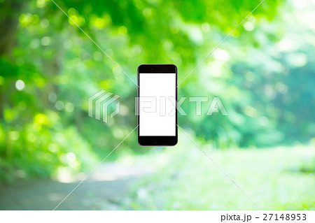 スマホと新緑イメージ 合成用背景素材 緑の背景 植物 春 初夏 木漏れ日 緑とコピースペース スマホと新緑イメージ 合成用背景素材 緑の背景 植物 春 初夏 木漏れ日 緑とコピースペース 27148953
