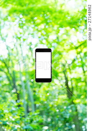 スマホと新緑イメージ　合成用背景素材　緑の背景　植物　春　初夏　木漏れ日　緑とコピースペース 27148962