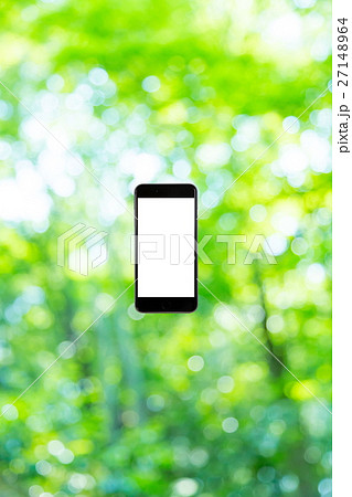 スマホと新緑イメージ　合成用背景素材　緑の背景　植物　春　初夏　木漏れ日　緑とコピースペース 27148964