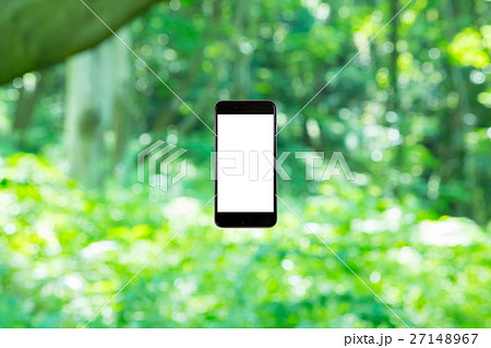 スマホと新緑イメージ　合成用背景素材　緑の背景　植物　春　初夏　木漏れ日　緑とコピースペース 27148967