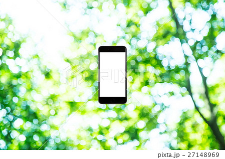 スマホと新緑イメージ　合成用背景素材　緑の背景　植物　春　初夏　木漏れ日　緑とコピースペース 27148969