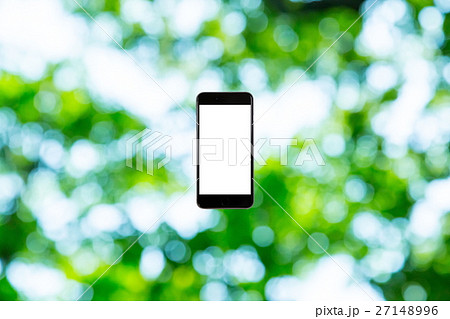 スマホと新緑イメージ　合成用背景素材　緑の背景　植物　春　初夏　木漏れ日　緑とコピースペース 27148996