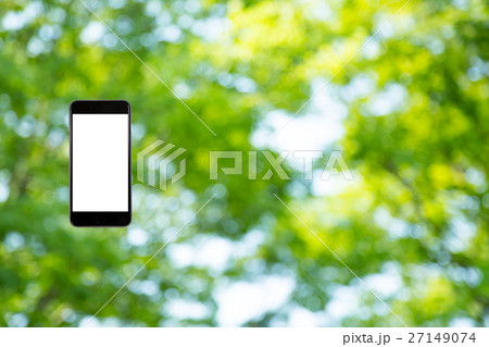 はめこみ スマホ新緑イメージ 合成用背景素材 緑の背景 植物 春 初夏 木漏れ日 緑とコピースペース はめこみ スマホ新緑イメージ 合成用背景素材 緑の背景 植物 春 初夏 木漏れ日 緑とコピースペース 27149074