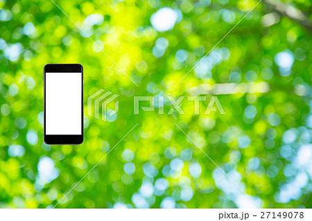 はめこみ スマホ新緑イメージ 合成用背景素材 緑の背景 植物 春 初夏 木漏れ日 緑とコピースペース はめこみ スマホ新緑イメージ 合成用背景素材 緑の背景 植物 春 初夏 木漏れ日 緑とコピースペース 27149078