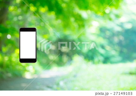 はめこみ　スマホ新緑イメージ　合成用背景素材　緑の背景　植物　春　初夏　木漏れ日　緑とコピースペース 27149103