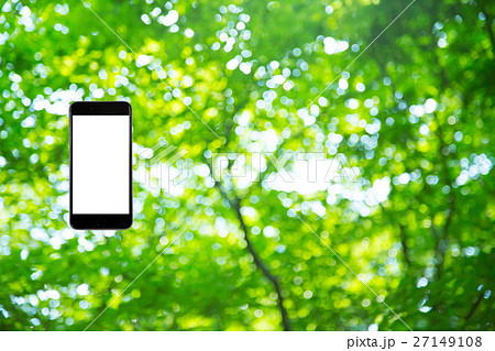 はめこみ　スマホ新緑イメージ　合成用背景素材　緑の背景　植物　春　初夏　木漏れ日　緑とコピースペース 27149108