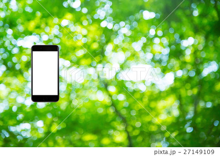 はめこみ　スマホ新緑イメージ　合成用背景素材　緑の背景　植物　春　初夏　木漏れ日　緑とコピースペース 27149109