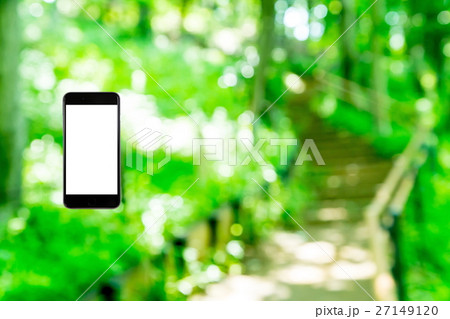 はめこみ　スマホ新緑イメージ　合成用背景素材　緑の背景　植物　春　初夏　木漏れ日　緑とコピースペース 27149120