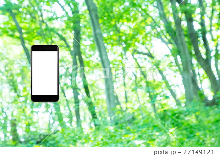 はめこみ　スマホ新緑イメージ　合成用背景素材　緑の背景　植物　春　初夏　木漏れ日　緑とコピースペース 27149121