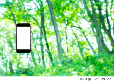 はめこみ スマホ新緑イメージ 合成用背景素材 緑の背景 植物 春 初夏 木漏れ日 緑とコピースペース はめこみ スマホ新緑イメージ 合成用背景素材 緑の背景 植物 春 初夏 木漏れ日 緑とコピースペース 27149122